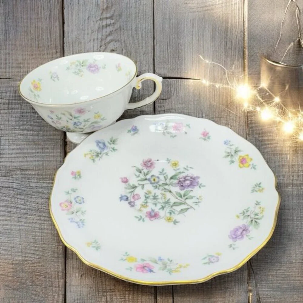 Franconia K&A Krautheim Selb Bavaria Germany Millefleurs Porcelain Teacup Saucer